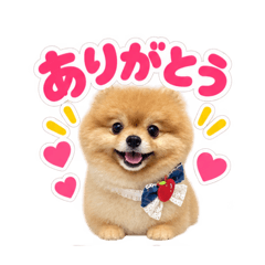 aika_20260827225609