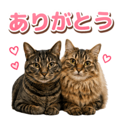 Mosuke&Jenny