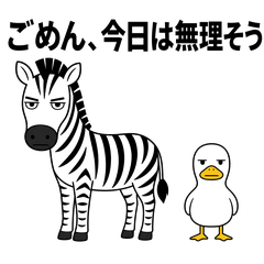 Graceful Declines with Zebra & Duck