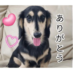 Maro&Moka_20260827210301