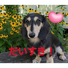 Maro&Moka_20260827212953