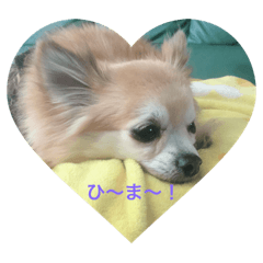 rikugadaisuki