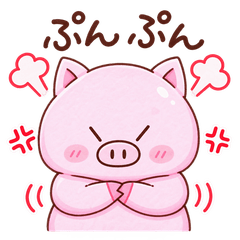 Piggy & Black Cat