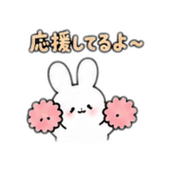 Daily Rabbit 40