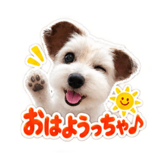 Noah = Pierrot_20260827215917