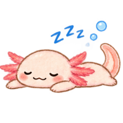 tako_20260827221222