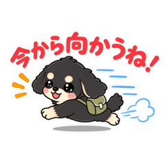Maru._20260827220848