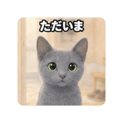 Fumi_20260827221713