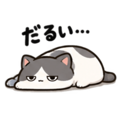 jojo_20260827221802
