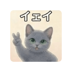 Fumi_20260827222911