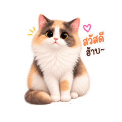 PSK:Shoyu's name