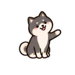 Playful Black Shiba