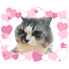 Pairploy J_20260828020054