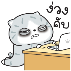 Munkaew little cat V.85