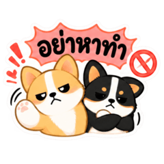JJ Corgis V.2 (TH Ver.)