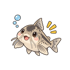 Chubby Corydoras Daily Life