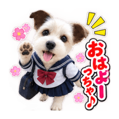 Noah = Pierrot_20260828002817