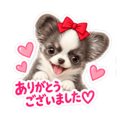 kanoko_20260828004357