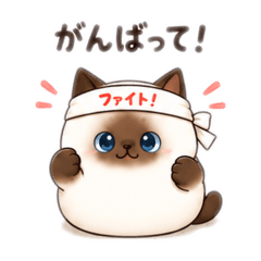 kurosu_20260828004911