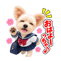 Noah = Pierrot_20260828010310