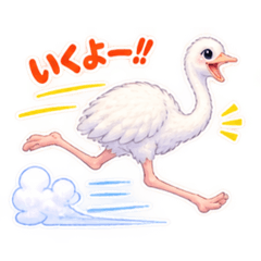 animal8_20260828012828