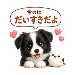真心話邊境牧羊犬與銀喉長尾山雀