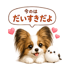 真心話蝴蝶犬與銀喉長尾山雀