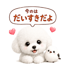 真心話比熊犬與銀喉長尾山雀