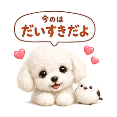 真心話Maltipoo與銀喉長尾山雀