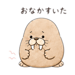 Pocha-don_20260828050244
