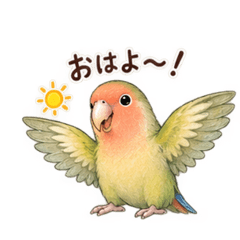 sora_20260828053217