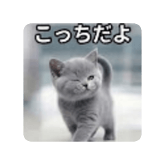 Fumi_20260828074811