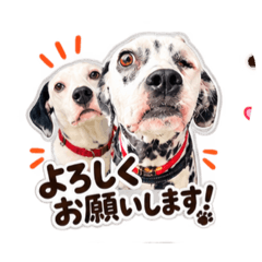 Hana_20260828