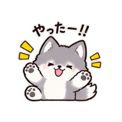 kokoa_20260828083145