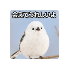 Fumi_20260828095631