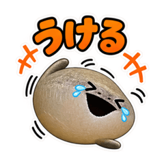TARO_20260828095152