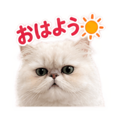 monakyonana_20260828094248