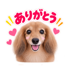 hana_20260828092440