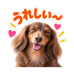 hana_20260828093315