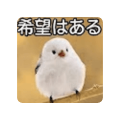 Fumi_20260828100303
