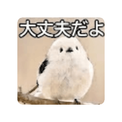 Fumi_20260828101351