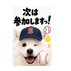 Samoyed Reactions for the Workplace
