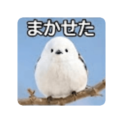 Fumi_20260828101935