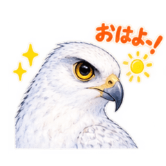 animal8_20260828102605