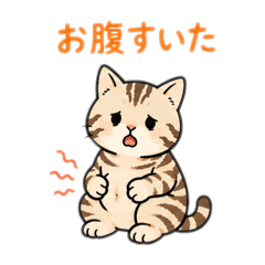 kinusn chan_20260828102551