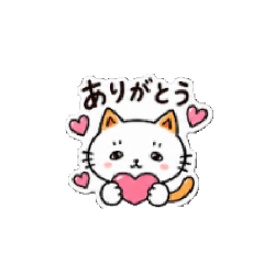 miya_20260828103706