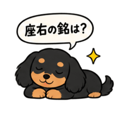 shamo_20260828103548