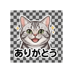Sena_20260828110755
