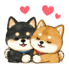 momo_20260828110524