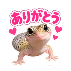 Cute Leopard Gecko Stickers.